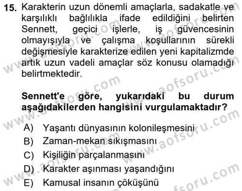 Sosyolojide Yakın Dönem Gelişmeler Dersi 2018 - 2019 Yılı Yaz Okulu Sınav Soruları 15. Soru