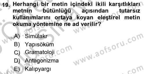 Sosyolojide Yakın Dönem Gelişmeler Dersi 2018 - 2019 Yılı Yaz Okulu Sınav Soruları 19. Soru