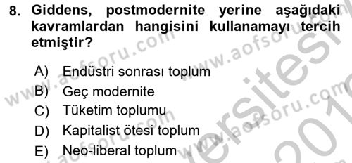 Sosyolojide Yakın Dönem Gelişmeler Dersi 2018 - 2019 Yılı Yaz Okulu Sınav Soruları 8. Soru