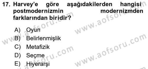 Sosyolojide Yakın Dönem Gelişmeler Dersi 2020 - 2021 Yılı Yaz Okulu Sınav Soruları 17. Soru