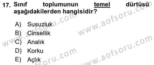 Sosyolojide Yakın Dönem Gelişmeler Dersi 2021 - 2022 Yılı (Vize) Ara Sınav Soruları 17. Soru