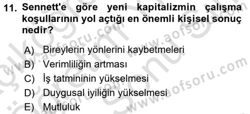 Sosyolojide Yakın Dönem Gelişmeler Dersi 2021 - 2022 Yılı (Final) Dönem Sonu Sınav Soruları 11. Soru