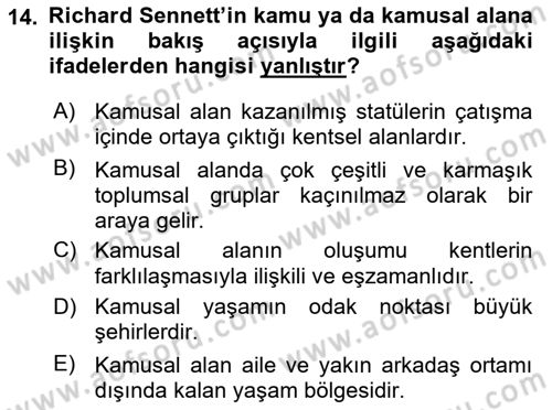 Sosyolojide Yakın Dönem Gelişmeler Dersi 2021 - 2022 Yılı Yaz Okulu Sınav Soruları 14. Soru