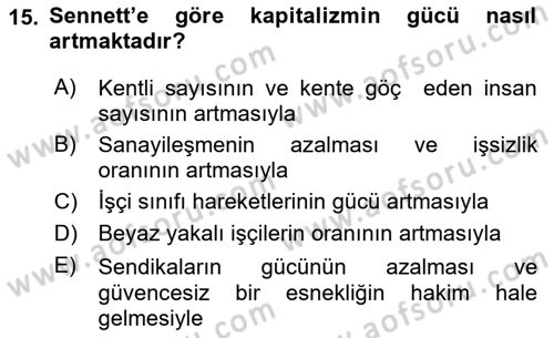 Sosyolojide Yakın Dönem Gelişmeler Dersi 2021 - 2022 Yılı Yaz Okulu Sınav Soruları 15. Soru