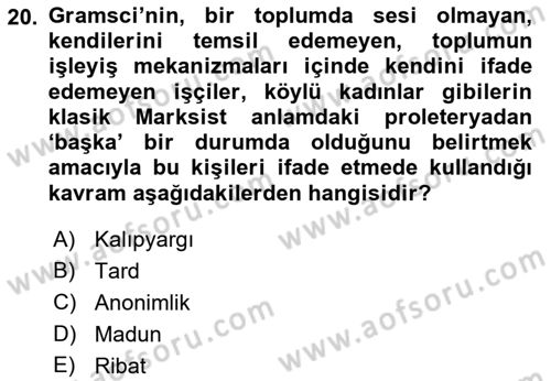 Sosyolojide Yakın Dönem Gelişmeler Dersi 2021 - 2022 Yılı Yaz Okulu Sınav Soruları 20. Soru
