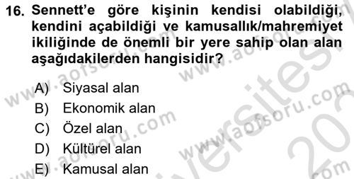 Sosyolojide Yakın Dönem Gelişmeler Dersi 2022 - 2023 Yılı Yaz Okulu Sınav Soruları 16. Soru