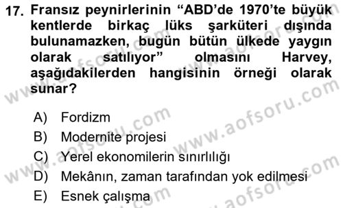 Sosyolojide Yakın Dönem Gelişmeler Dersi 2022 - 2023 Yılı Yaz Okulu Sınav Soruları 17. Soru