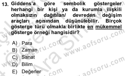 Sosyolojide Yakın Dönem Gelişmeler Dersi 2023 - 2024 Yılı (Vize) Ara Sınav Soruları 13. Soru