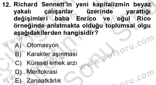 Sosyolojide Yakın Dönem Gelişmeler Dersi 2023 - 2024 Yılı (Final) Dönem Sonu Sınav Soruları 12. Soru