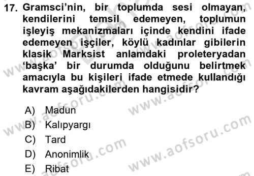 Sosyolojide Yakın Dönem Gelişmeler Dersi 2023 - 2024 Yılı (Final) Dönem Sonu Sınav Soruları 17. Soru