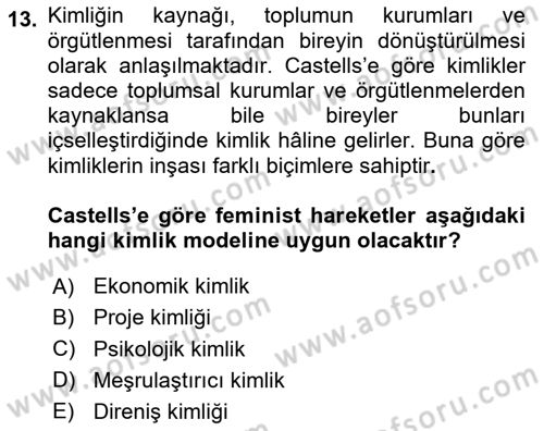 Sosyolojide Yakın Dönem Gelişmeler Dersi 2023 - 2024 Yılı Yaz Okulu Sınav Soruları 13. Soru