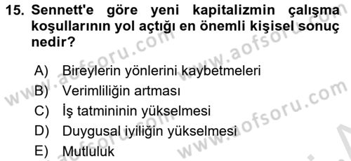 Sosyolojide Yakın Dönem Gelişmeler Dersi 2023 - 2024 Yılı Yaz Okulu Sınav Soruları 15. Soru