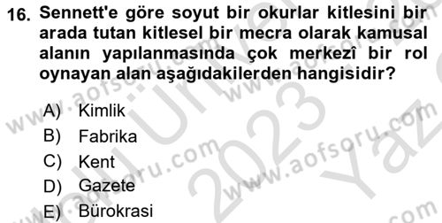 Sosyolojide Yakın Dönem Gelişmeler Dersi 2023 - 2024 Yılı Yaz Okulu Sınav Soruları 16. Soru