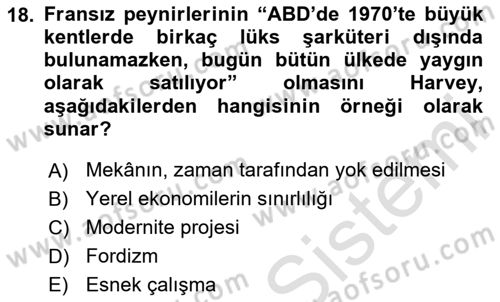 Sosyolojide Yakın Dönem Gelişmeler Dersi 2023 - 2024 Yılı Yaz Okulu Sınav Soruları 18. Soru