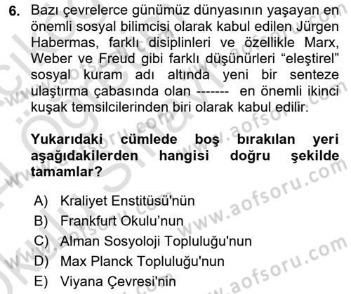 Sosyolojide Yakın Dönem Gelişmeler Dersi 2023 - 2024 Yılı Yaz Okulu Sınav Soruları 6. Soru