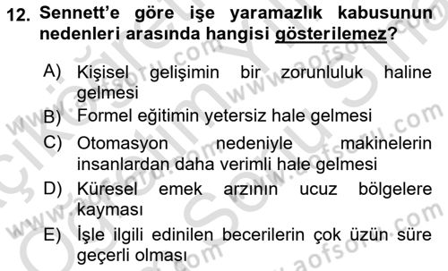 Sosyolojide Yakın Dönem Gelişmeler Dersi 2024 - 2025 Yılı (Final) Dönem Sonu Sınav Soruları 12. Soru