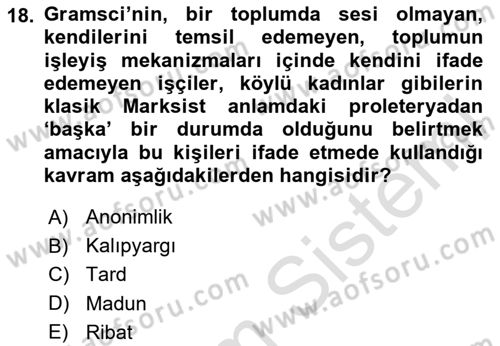 Sosyolojide Yakın Dönem Gelişmeler Dersi 2024 - 2025 Yılı (Final) Dönem Sonu Sınav Soruları 18. Soru