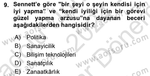 Sosyolojide Yakın Dönem Gelişmeler Dersi 2024 - 2025 Yılı (Final) Dönem Sonu Sınav Soruları 9. Soru