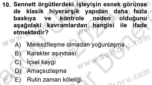 Sosyolojide Yakın Dönem Gelişmeler Dersi 2025 - 2026 Yılı (Final) Dönem Sonu Sınav Soruları 10. Soru