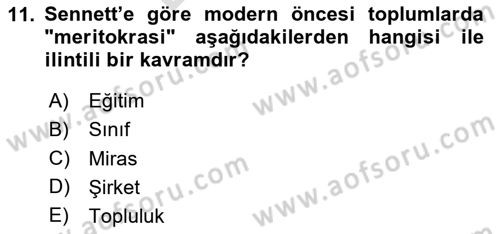 Sosyolojide Yakın Dönem Gelişmeler Dersi 2025 - 2026 Yılı (Final) Dönem Sonu Sınav Soruları 11. Soru