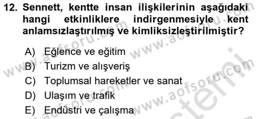 Sosyolojide Yakın Dönem Gelişmeler Dersi 2025 - 2026 Yılı (Final) Dönem Sonu Sınav Soruları 12. Soru