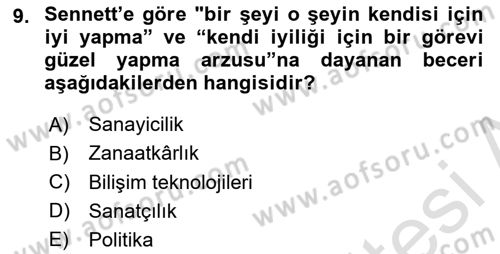 Sosyolojide Yakın Dönem Gelişmeler Dersi 2025 - 2026 Yılı (Final) Dönem Sonu Sınav Soruları 9. Soru