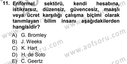 Ekonomi Sosyolojisi Dersi Ara Sınavı Deneme Sınav Soruları 11. Soru