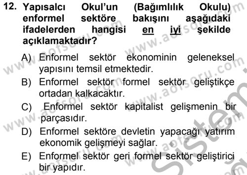 Ekonomi Sosyolojisi Dersi Ara Sınavı Deneme Sınav Soruları 12. Soru
