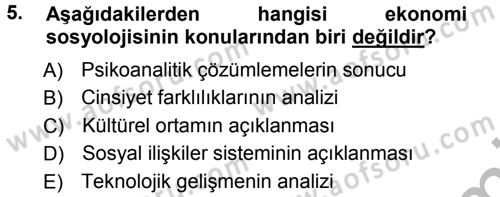 Ekonomi Sosyolojisi Dersi Ara Sınavı Deneme Sınav Soruları 5. Soru