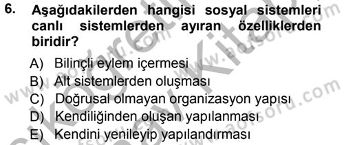 Ekonomi Sosyolojisi Dersi 2012 - 2013 Yılı (Vize) Ara Sınav Soruları 6. Soru
