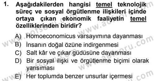 Ekonomi Sosyolojisi Dersi 2012 - 2013 Yılı (Final) Dönem Sonu Sınav Soruları 1. Soru