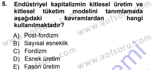 Ekonomi Sosyolojisi Dersi 2012 - 2013 Yılı (Final) Dönem Sonu Sınav Soruları 5. Soru