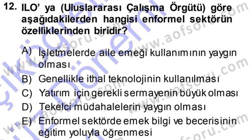 Ekonomi Sosyolojisi Dersi Ara Sınavı Deneme Sınav Soruları 12. Soru