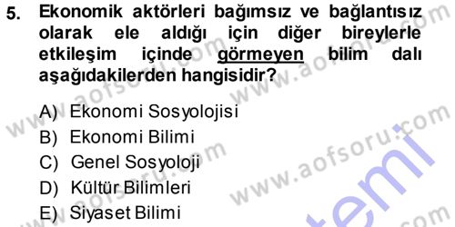 Ekonomi Sosyolojisi Dersi Ara Sınavı Deneme Sınav Soruları 5. Soru