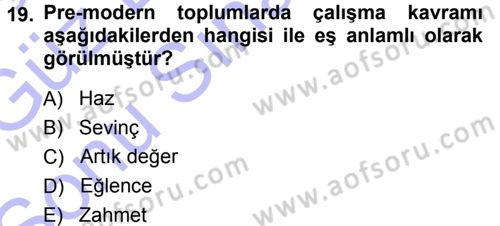 Ekonomi Sosyolojisi Dersi 2013 - 2014 Yılı (Final) Dönem Sonu Sınav Soruları 19. Soru