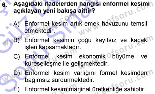 Ekonomi Sosyolojisi Dersi 2013 - 2014 Yılı (Final) Dönem Sonu Sınav Soruları 6. Soru