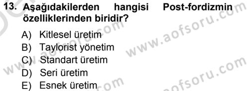 Ekonomi Sosyolojisi Dersi 2013 - 2014 Yılı Tek Ders Sınav Soruları 13. Soru