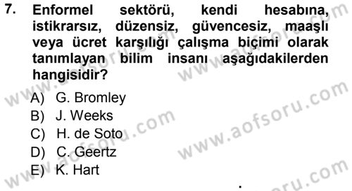 Ekonomi Sosyolojisi Dersi 2013 - 2014 Yılı Tek Ders Sınav Soruları 7. Soru