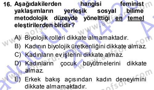 Ekonomi Sosyolojisi Dersi 2014 - 2015 Yılı (Vize) Ara Sınav Soruları 16. Soru
