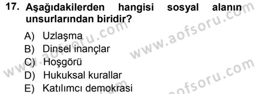 Ekonomi Sosyolojisi Dersi 2014 - 2015 Yılı (Vize) Ara Sınav Soruları 17. Soru
