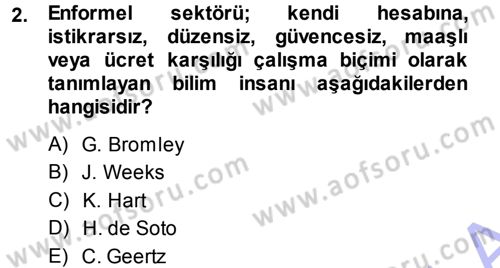 Ekonomi Sosyolojisi Dersi Ara Sınavı Deneme Sınav Soruları 2. Soru