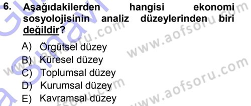 Ekonomi Sosyolojisi Dersi Ara Sınavı Deneme Sınav Soruları 6. Soru