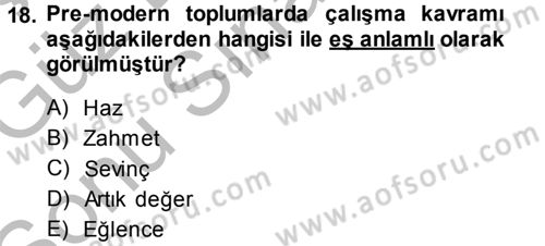 Ekonomi Sosyolojisi Dersi 2014 - 2015 Yılı (Final) Dönem Sonu Sınav Soruları 18. Soru