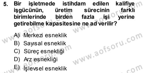 Ekonomi Sosyolojisi Dersi 2014 - 2015 Yılı (Final) Dönem Sonu Sınav Soruları 5. Soru