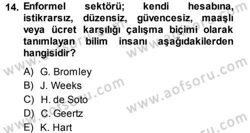 Ekonomi Sosyolojisi Dersi 2014 - 2015 Yılı Tek Ders Sınav Soruları 14. Soru