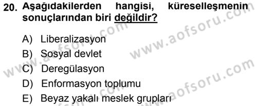 Ekonomi Sosyolojisi Dersi 2014 - 2015 Yılı Tek Ders Sınav Soruları 20. Soru