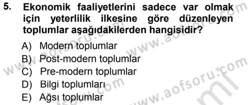 Ekonomi Sosyolojisi Dersi 2014 - 2015 Yılı Tek Ders Sınav Soruları 5. Soru