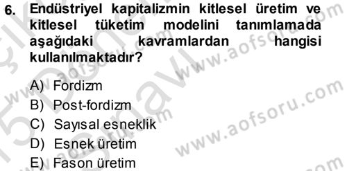 Ekonomi Sosyolojisi Dersi 2014 - 2015 Yılı Tek Ders Sınav Soruları 6. Soru
