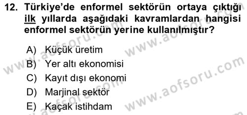 Ekonomi Sosyolojisi Dersi 2015 - 2016 Yılı (Vize) Ara Sınav Soruları 12. Soru