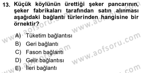 Ekonomi Sosyolojisi Dersi 2015 - 2016 Yılı (Vize) Ara Sınav Soruları 13. Soru
